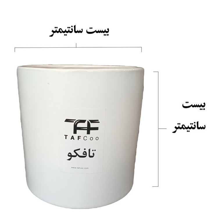 گل طبیعی فیکوس لیراتا آفریقایی تافکو کد 2022