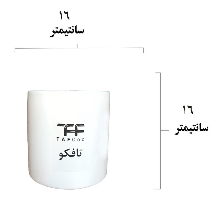 گل طبیعی فیلودندرون برکین تافکو مدل s1