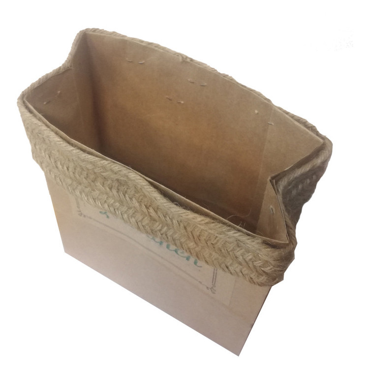 گیاه طبیعی کروتون کد P.A.016