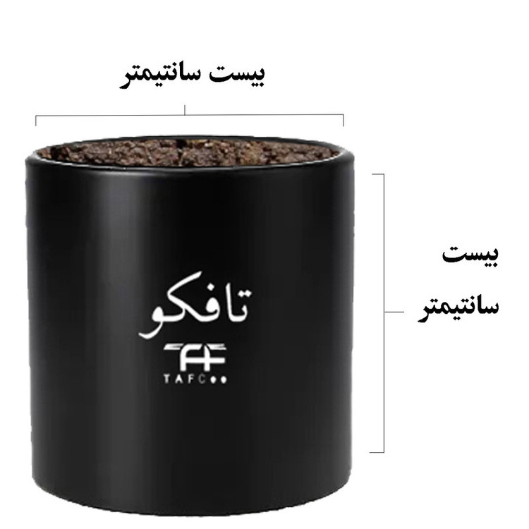 گیاه طبیعی دیفن باخیا تافکو مدل ماکولاتا کد 2x