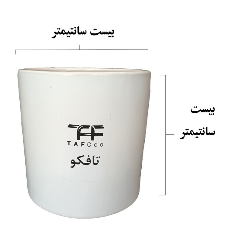 گیاه طبیعی دیفن باخیا تافکو مدل ماکولاتا کد 2x