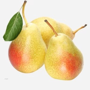 نهال گلابی شاه میوه 2 ساله