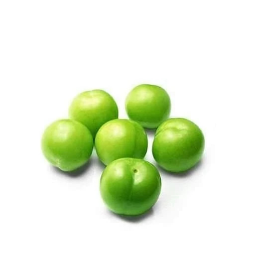نهال گوجه سبز شهریار