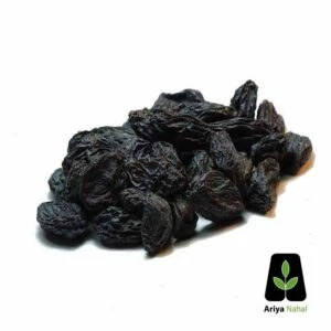 نهال انگور مویز بیدانه