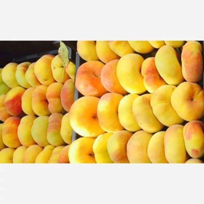 نهال هلو انجیری عسلی