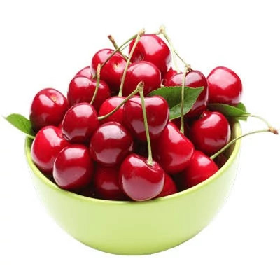 نهال آلبالو مجاری پس کرایه