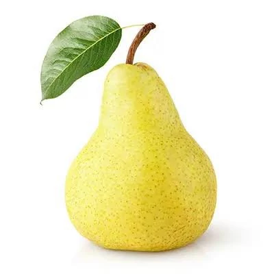 نهال گلابی بیروتی پس کرایه