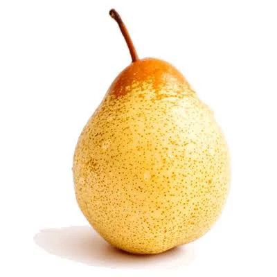 نهال گلابی بیروتی پس کرایه