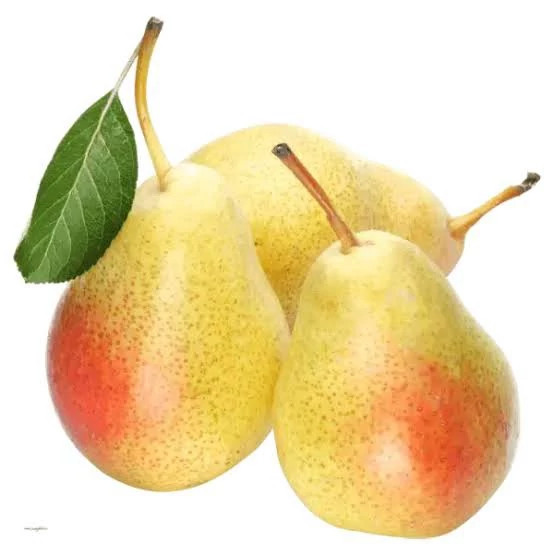 نهال گلابی بیروتی پس کرایه