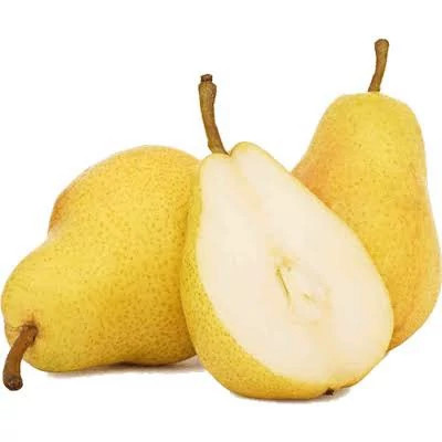 نهال گلابی بیروتی پس کرایه