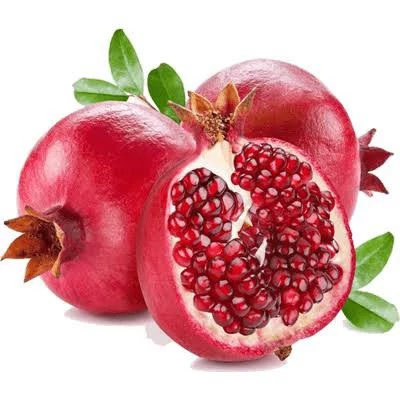 نهال انار ژله ای گلدانی  پس کرایه