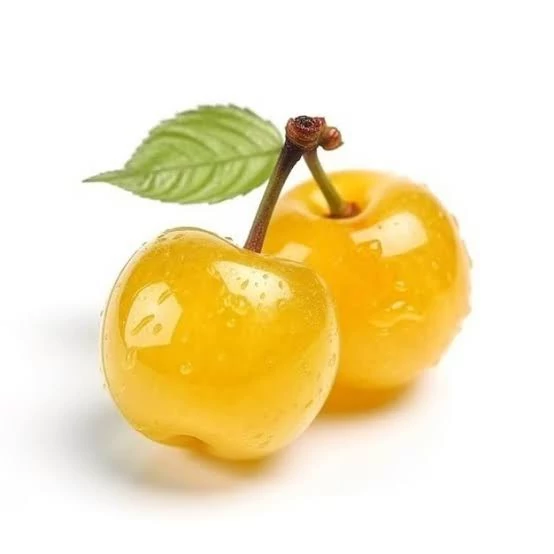 نهال گیلاس زردتک دانه پس کرایه