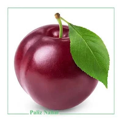 نهال آلو گوجه قرمز آمریکایی پس کرایه