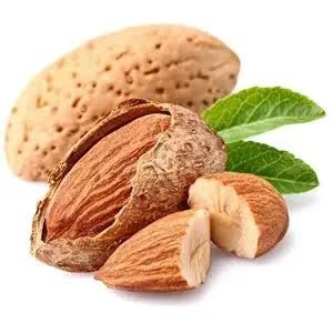 نهال بادام فرانیس دیر گل پس کرایه