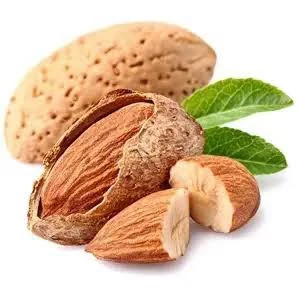 نهال بادام فرانیس دیر گل پس کرایه
