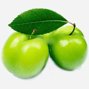 پک نهال همه رقم 10 عدد نهال