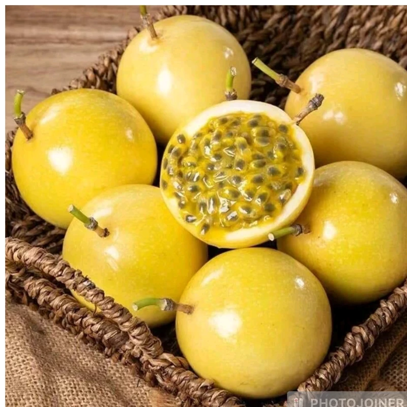 نهال پشن فروت گلد
