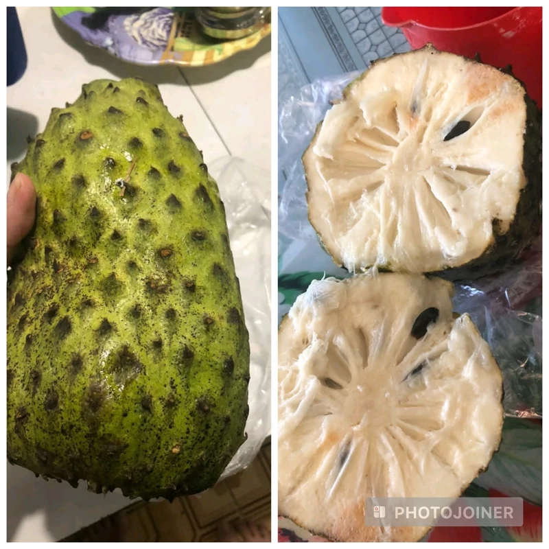 نهال سورسوپ