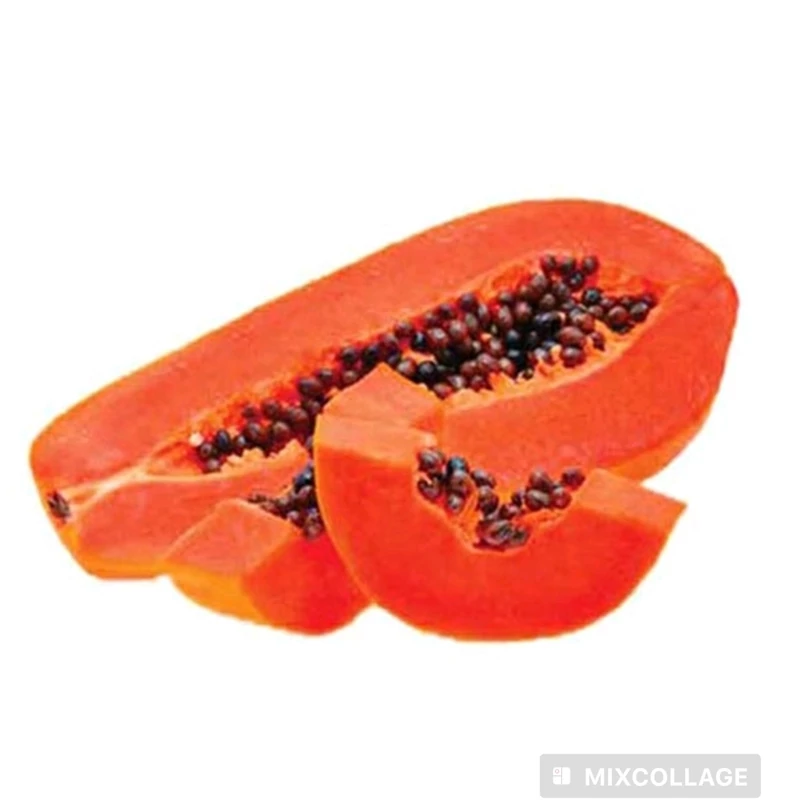 نهال پاپایا ردلیدی
