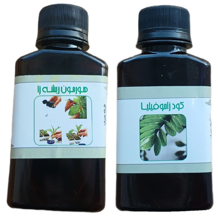 کود مایع زاموفیلیا و هورمون ریشه زا مدل life drop حجم 110 میلی لیتر