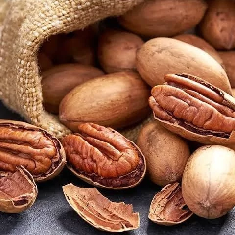 نهال پکان (پیوندی) (معتدله تا گرمسیر)