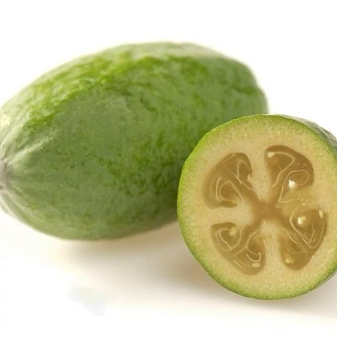نهال فیجوآ  (پیوندی ) 2ساله بالغ (معتدله تا گرمسیر )