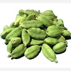 نهال هل وارداتی آرتا نهال