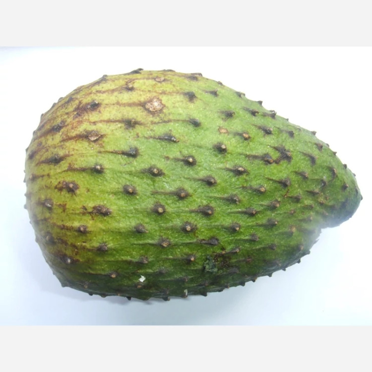 میوه سورسوپ آرتا نهال
