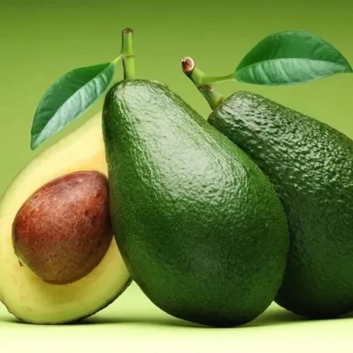نهال پیوندی آووکادو آرتا نهال